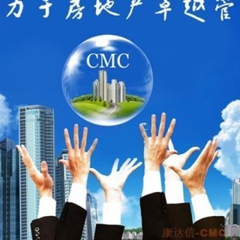 南寧房地產咨詢公司 市場洞察與專業價值的橋梁